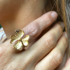 Anillo Brescia Gold
