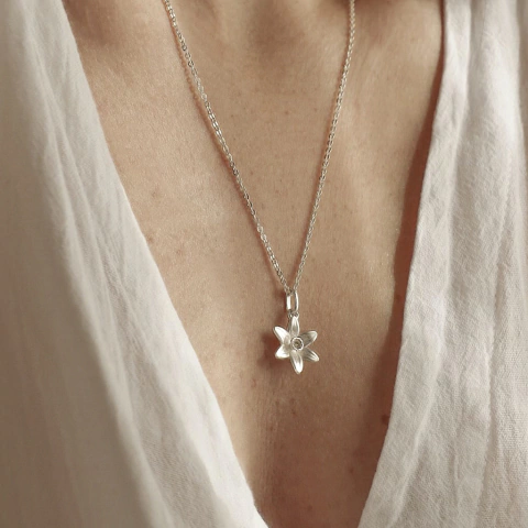 Flor natal de Diciembre - Narciso Estrella - comprar online