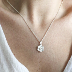 Flor natal de Marzo - Narciso - comprar online