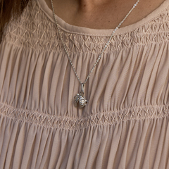 Collar Vaquita de San Antonio - tienda online