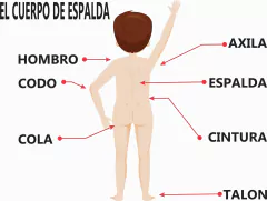 APRENDO MI CUERPO en internet