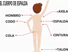 APRENDO MI CUERPO - Juegos Vicap