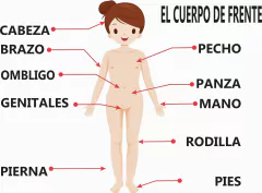 APRENDO MI CUERPO - tienda online