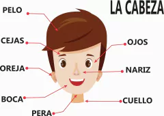 APRENDO MI CUERPO