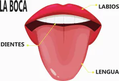 APRENDO MI CUERPO - comprar online