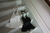 Vestido Marilyn - tienda online