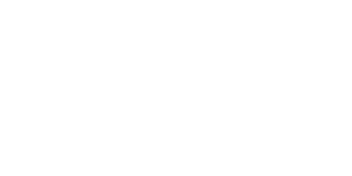 Sin Dudas