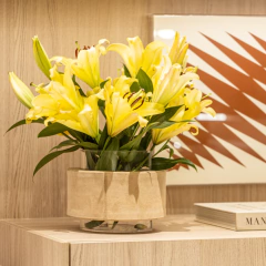 Vaso Peanut - Aurora G - comprar online