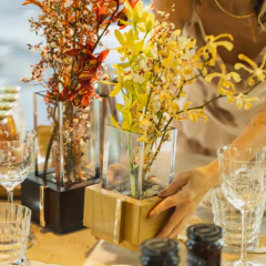 Vaso M Tauari - ALENYA na internet