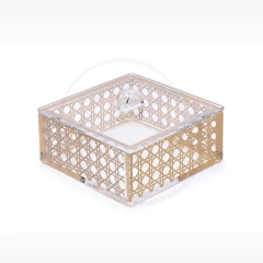 CAIXA COM TAMPA - VIENNA