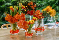 Vaso M Color Line - Tangerine Tango - Onom Design