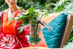 Vaso G Color Line - Forest na internet