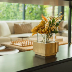 Vaso P Tauari - ALENYA na internet