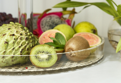 Fruteira - Vienna - loja online