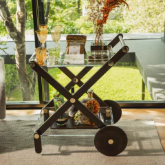 Carrinho de Apoio Muiracatiara - ALENYA - comprar online