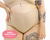 Hot Pant - Pingado - comprar online