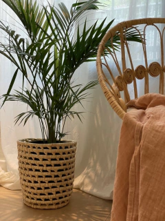 Canasto macetero