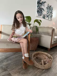 Cucha Cat - comprar online