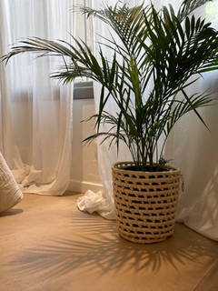 Canasto macetero - comprar online