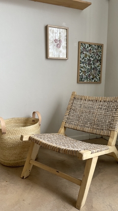 Sillon Rio Negro - Paysana