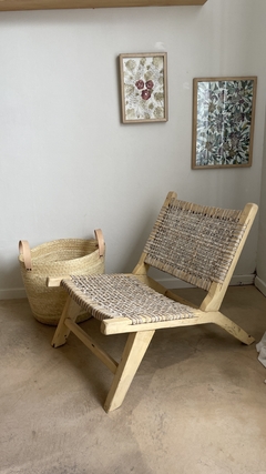 Sillon Rio Negro en internet