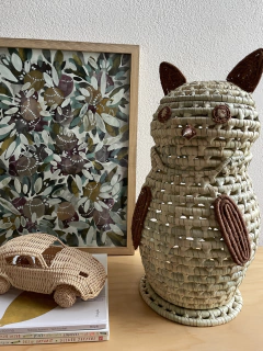 Canasto buho en internet