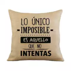 Fundas Para Almohadones 50x50 Arpillera - Casa Gelber