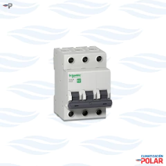 Interruptor Termomagnetico SCHNEIDER mod Easy 9 en internet