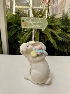 Coelho de Páscoa Segurando Macarrons nas Costas em Resina 17,8cm - Decora Encanta 