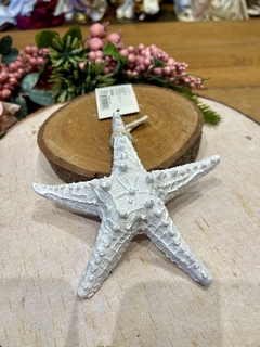 Enfeite Estrela Do Mar branco 13x13cm - comprar online