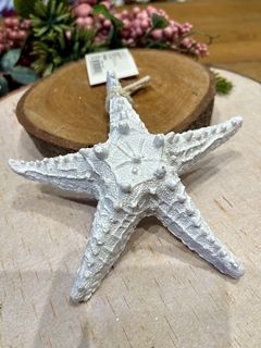 Enfeite Estrela Do Mar branco 13x13cm na internet
