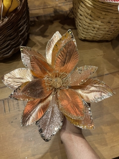 H. Bico de Papagaio rose gold 27CM