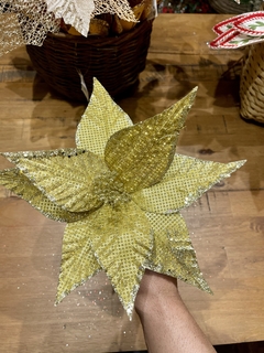 H. BICO PAPAGAIO Dourado 30cm