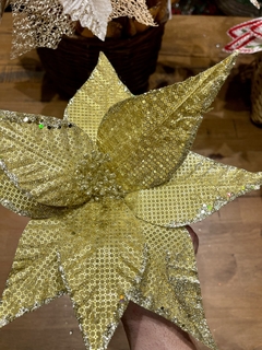 H. BICO PAPAGAIO Dourado 30cm - comprar online