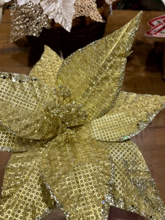 H. BICO PAPAGAIO Dourado 30cm na internet