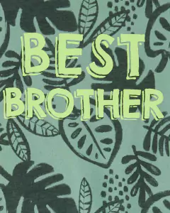 CONJUNTO 2 PEÇAS VERÃO BEST BROTHER CARTER'S - comprar online
