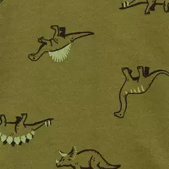 Conjunto Inverno Carter's DINOSSAURO VERDE na internet