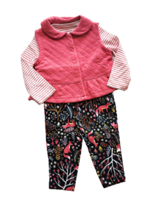 Conjunto Colete Carter's 3 peças - comprar online