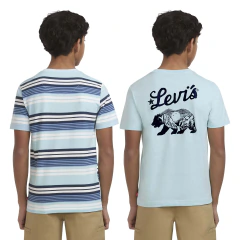 Kit 2 camisetas Levi's Menino Verde - comprar online