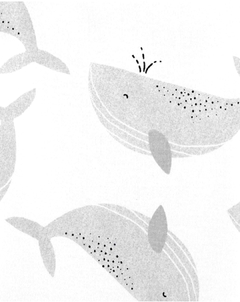 KIT BODYS CARTER'S MANGA CURTA DINOSSAURO na internet