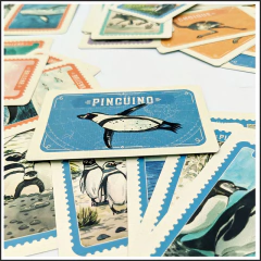 Valdés - El juego de Avistaje de Animales (¡NOVEDAD!) en internet