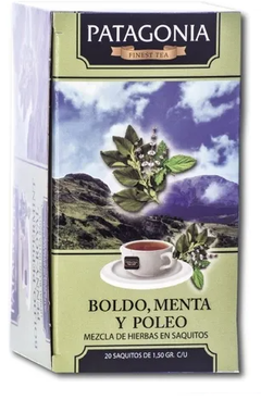 PATAGONIA - TE SAQ BOLDO,POLEO Y MENTA