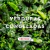 Banner de Carmin Alimentos