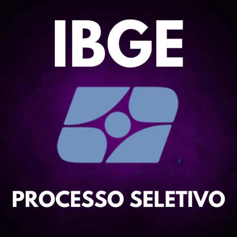 IBGE - PROCESSO SELETIVO SIMPLIFICADO - comprar online