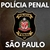 POLÍCIA PENAL - SP - comprar online