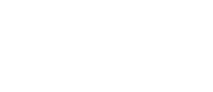 Bravo Concursos