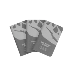 PACK X3 LIBRETAS LISAS