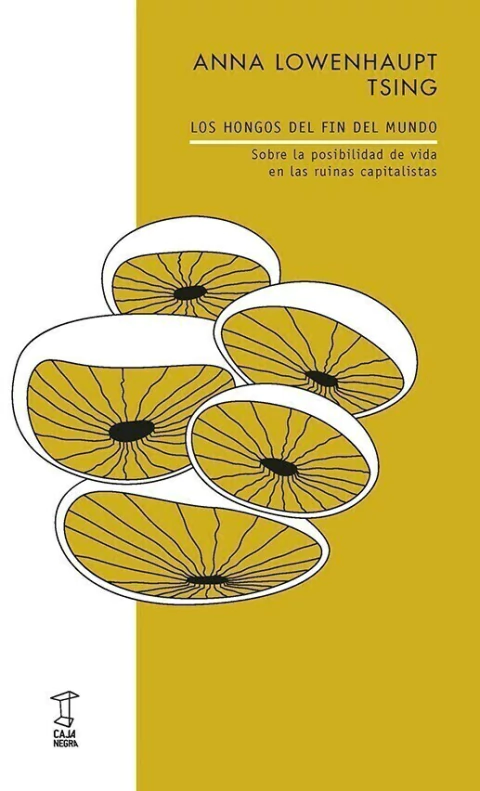 Los hongos del fin del mundo de - Ana Lowenhaupt Tsing - comprar online