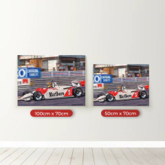 Ayrton Senna 9 en internet