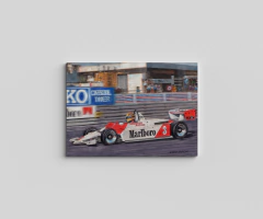 Ayrton Senna 9 - comprar online